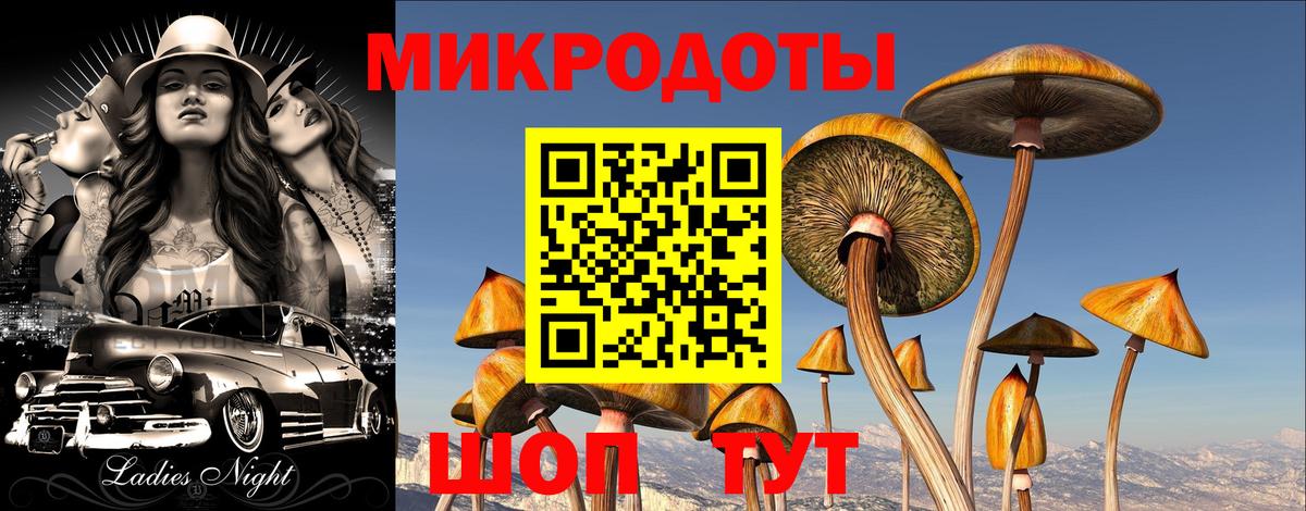 Псилоцибиновые грибы Magic Shrooms  Псилоцибиновые грибы мицелий  Алапаевск  Вход с VPN 